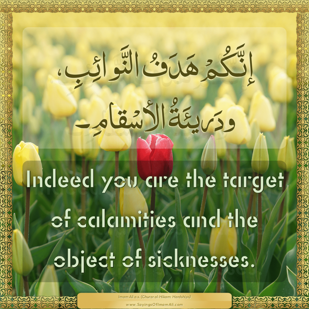 Indeed you are the target of calamities and the object of sicknesses.